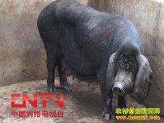 [�Ƽ�Է����]������ �ܳ���ڳ���