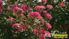 [��ɫʱ��]������ ��ȡ����λ����׬Ǯ