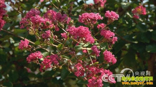 ��ʲô����׬Ǯ