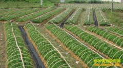 [ũ�����]���������������Է�ֳ������Ƶ