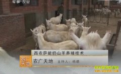 [ũ�����]��ũ������ɽ����ֳ����