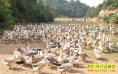 [ũ�����]���ֶ���ֳ����