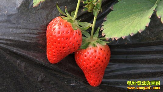 ����˶ʿ �ֲ������´�ҵ ��2015.3.10��