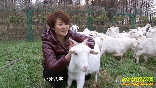 �������ϡ���һ���� ��2015.3.11��