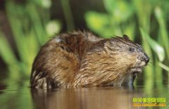 [ÿ��ũ��]�ܲ��������һ����