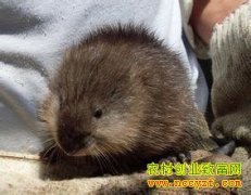 [ÿ��ũ��]��������������������