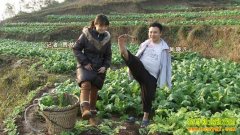 [�¸���]һ˫���Ӯ�òƸ�ӭ����