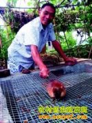 �Ĵ������������紴ҵ��������