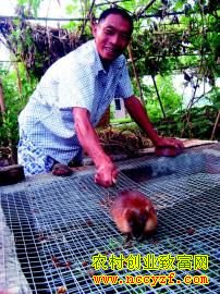 �����Ծ���������������ǻ��мӡ�