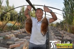 �½��;���ũ����ֳ�������������30��Ԫ