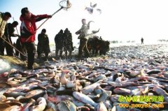 [�����е�]2015ũ���֣� �����²Ƹ� �Ͷ������