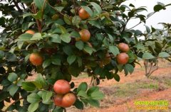 [��ɫʱ��]��ʲô���С���ˮ��