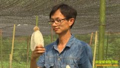 [�¸���]���Ƹ�����ݥ��ֲ�ӹ�׬Ǯ֮��