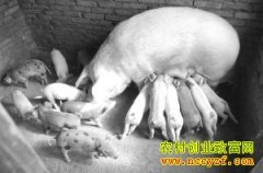 [�Ƽ�Է����]����С�����˳�������