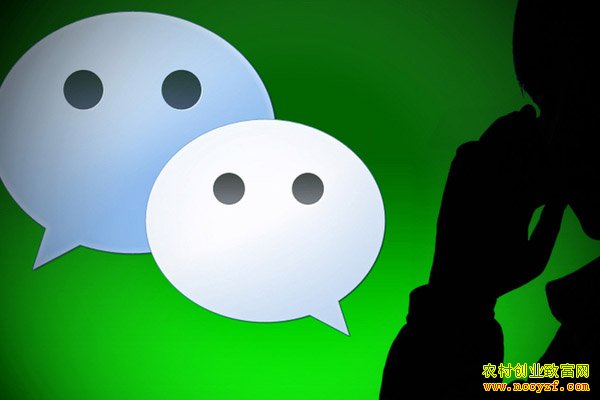 ΢��Ӫ��ƭ��