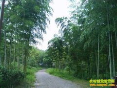 [�����е�]2015ũ���֣������ũ����