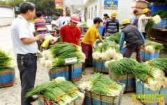 �㶫ï��������ͬ���������������¸�·