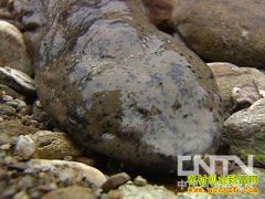 [ÿ��ũ��]��ɽ���ᵽ�����������