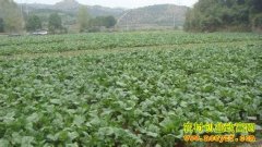 [ÿ��ũ��]�����ġ������ˡ����̦�ܻ�ӭ