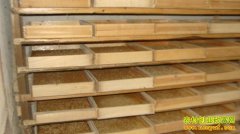 ��ֳ�Ʒ۳���г�ǰ������ֳ������Ƶ