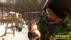 [�¸���]��������ġ��պ���������