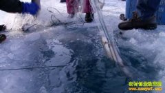 [�¸���]�ƽ����ı����Ƹ��԰�