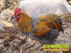 [ÿ��ũ��]û��β�͵�ư���������