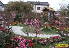 [�����е�]2015ũ���֣����ũ����ɽ��