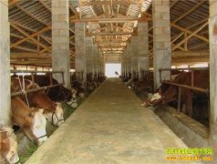 ��ֳ�¸�����������ţ����ţ ��׬ʮ��