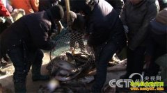 [�¸���]���ش���¶����µĲƸ�����