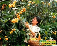 [�����е�]2015ũ���֣�����ũ�Һ���԰