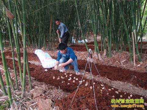 ����������ݥ