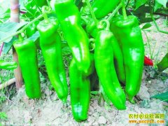 [�Ƽ�Է]����������ǿ�����������ɵ�