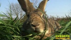 [�¸���]����ϱ��������Ķ��������òƸ�