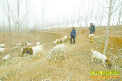 ��ֳ�¸��������������� ��������׬Ǯæ