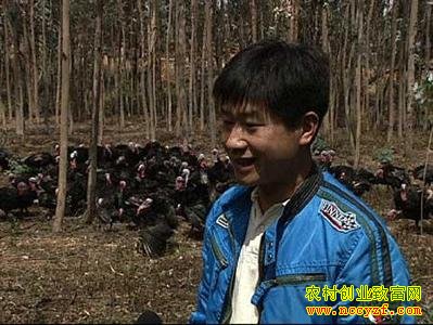 ��������٧��ת������