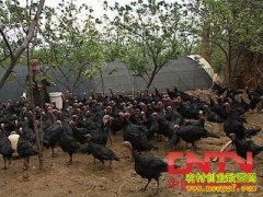 [�Ƽ�Է����]��ѻ𼦵��Ҽ���