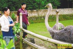 [�����е�]������Ĵ�ѧ����Ծ�޺����