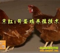 [ũ���������]����1�ŵ�����ֳ������Ƶ