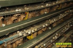 [�Ƽ�Է]�������������������