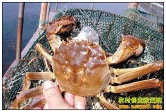 [�Ƽ�Է]�������Ĵ�բз