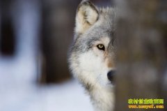 ������ҵ���ǡ��������򹤡�����