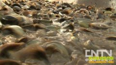 [ÿ��ũ��]��������Ĵ����������ʱ����