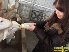 [�¸���]���ո�����ʿ�⣺���� �Ҿ���Ҫ��ҵ