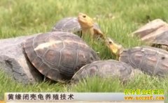 [ũ�����]��Ե�տǹ���ֳ����