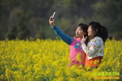 [�����е�]2015ũ���֣��㺺�����򻨺���ɽũ����