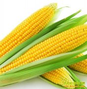 [ũ�����]�ӽ��������������������Ƶ