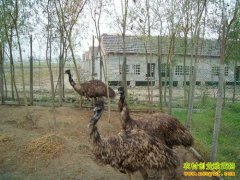 [�Ƽ�Է]����ƾӵ�����