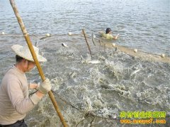 [ũ�����]�¼����޷����������׶�Ϻ������Ƶ