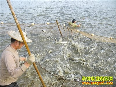 ��Ϻ����